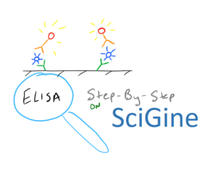 Step by Step ELISA Guide on SciGine