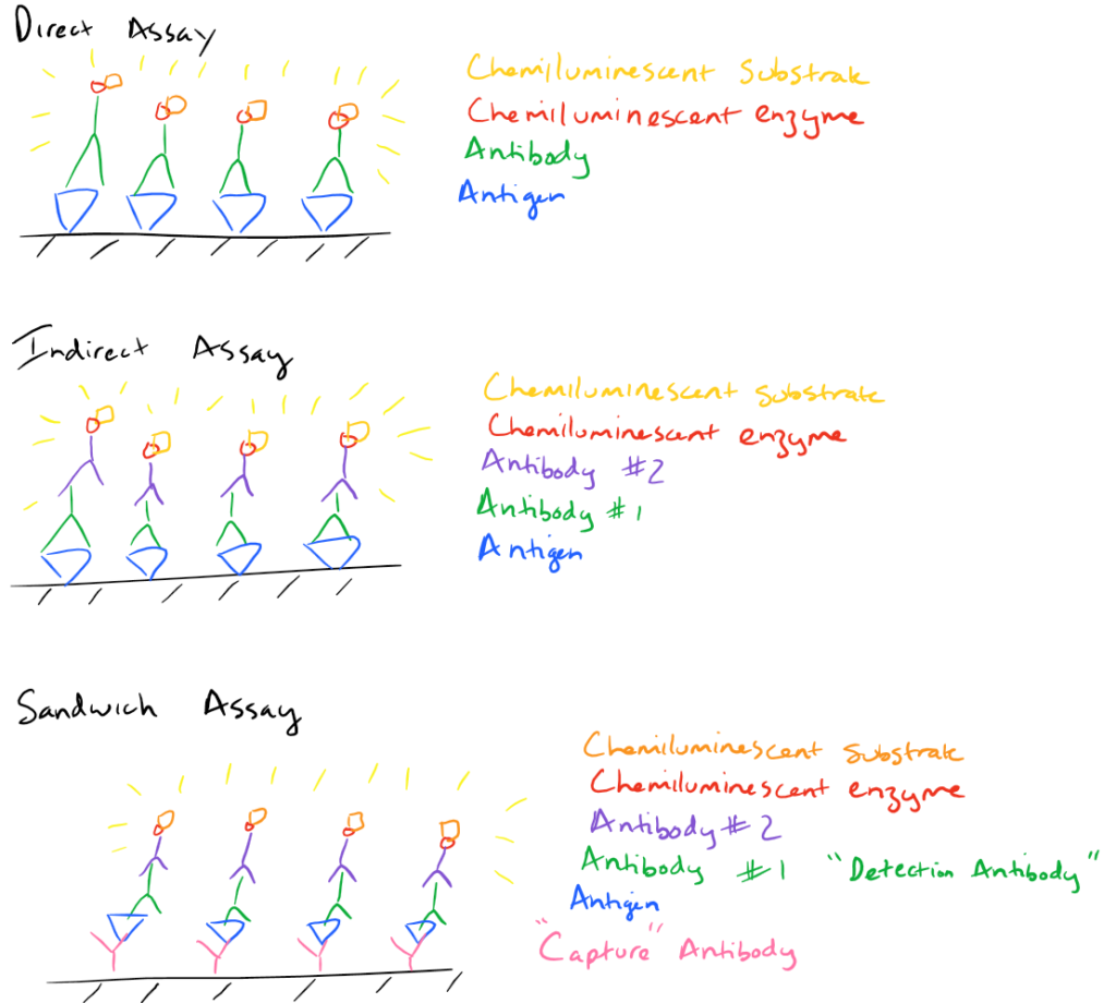 Types of ELISA Assays - SciGine