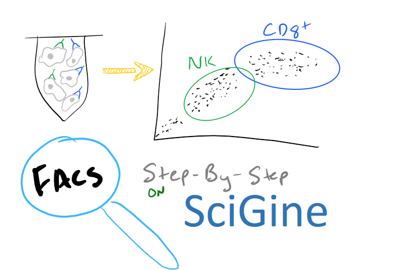 FACS & Flow Cytometry for Cell Population Analysis