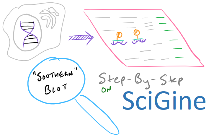 Southern blot scientific method title