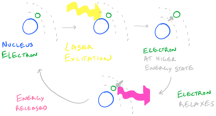 Immunofluorescence Microscopy Theory of Fluorescence and Electron Energy