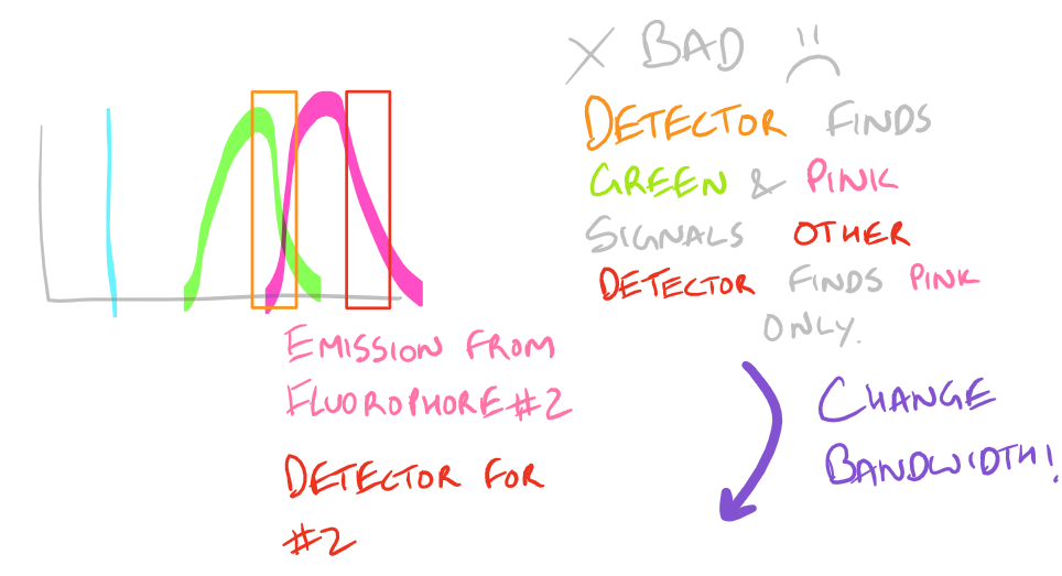 Overlapping fluorescence spectra cause problems with Microscopy