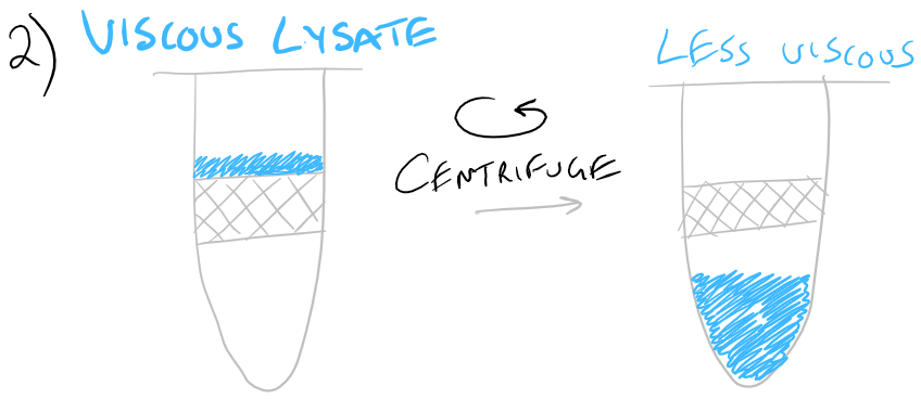 RNA purification from protein and carboihydrate