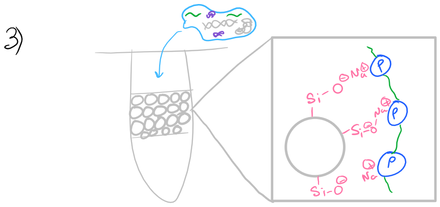 Solid phase RNA extraction