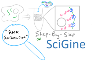 RNA extraction, purification, and isolation