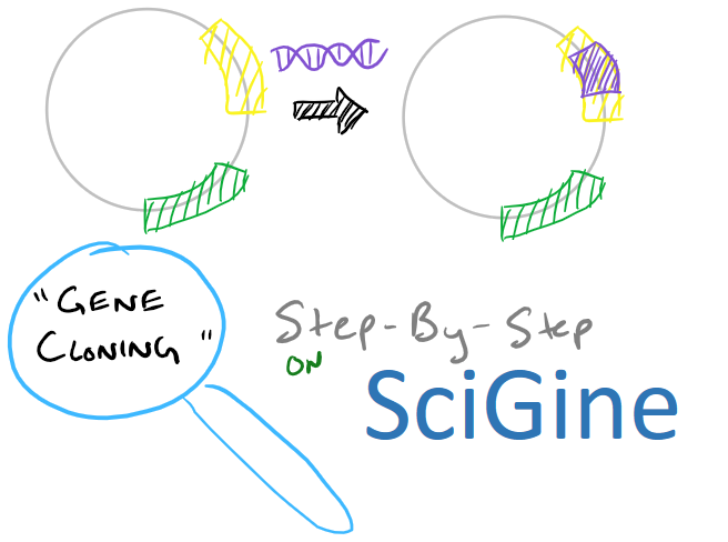 Gene Cloning using Plasmids via Molecular Cloning techniques