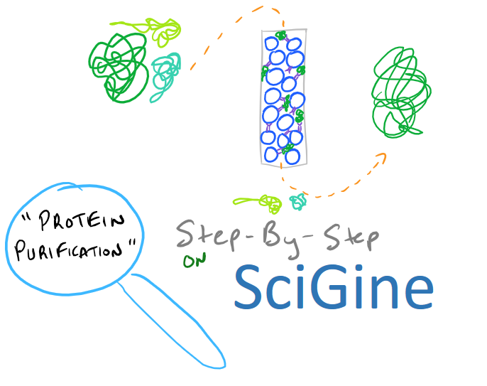 Protein Purification of Recombinant Proteins