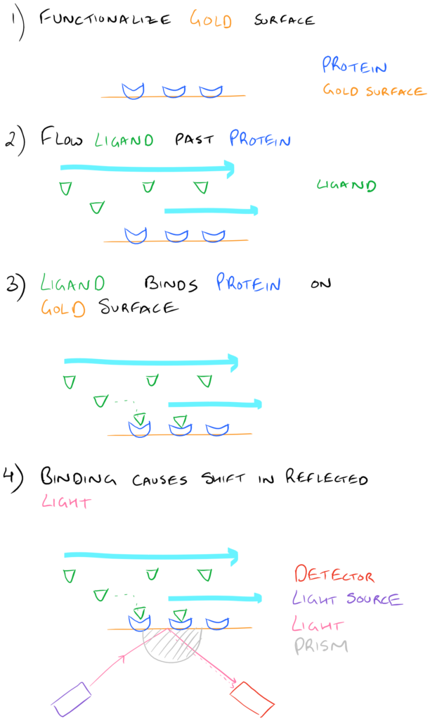 SPR Functionalized Biopolymers