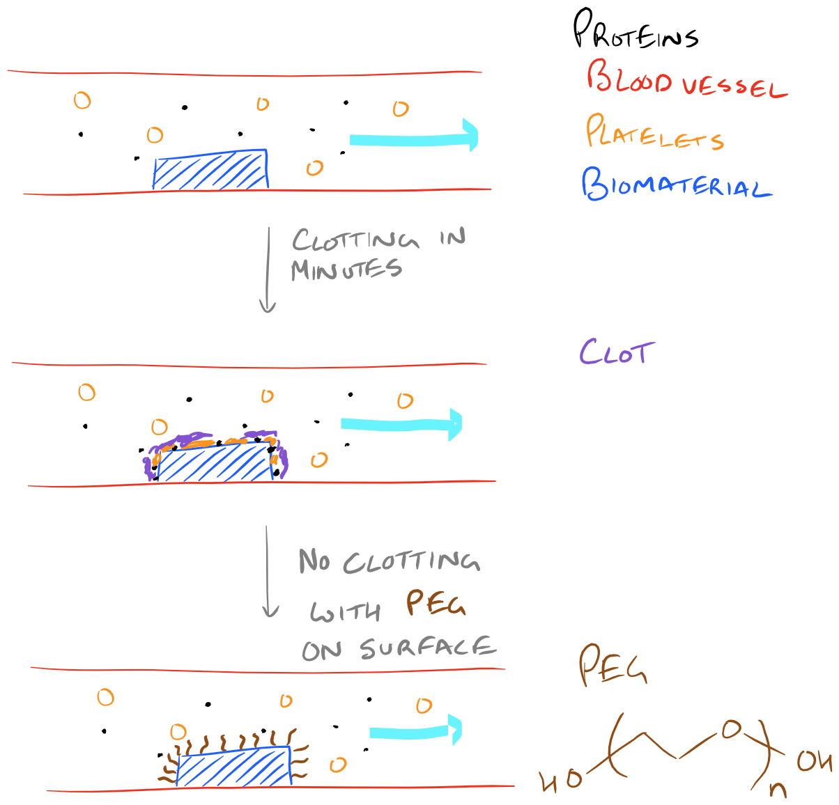 PEG Functionalized Biomaterial Surface