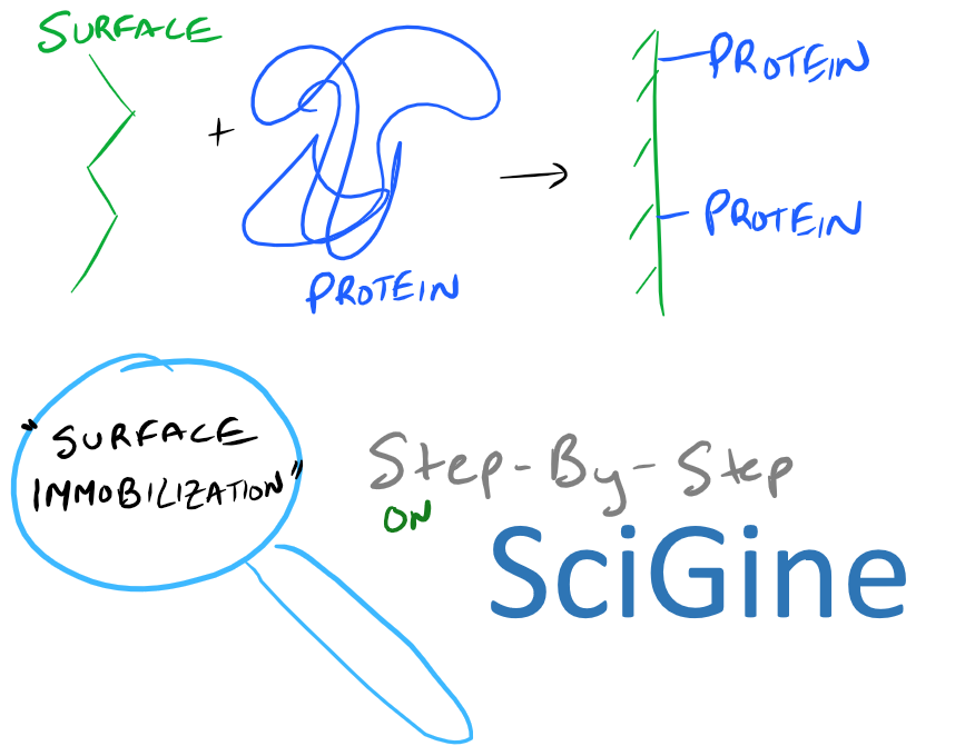 Biopolymer Surface Functionalization of Biomaterials