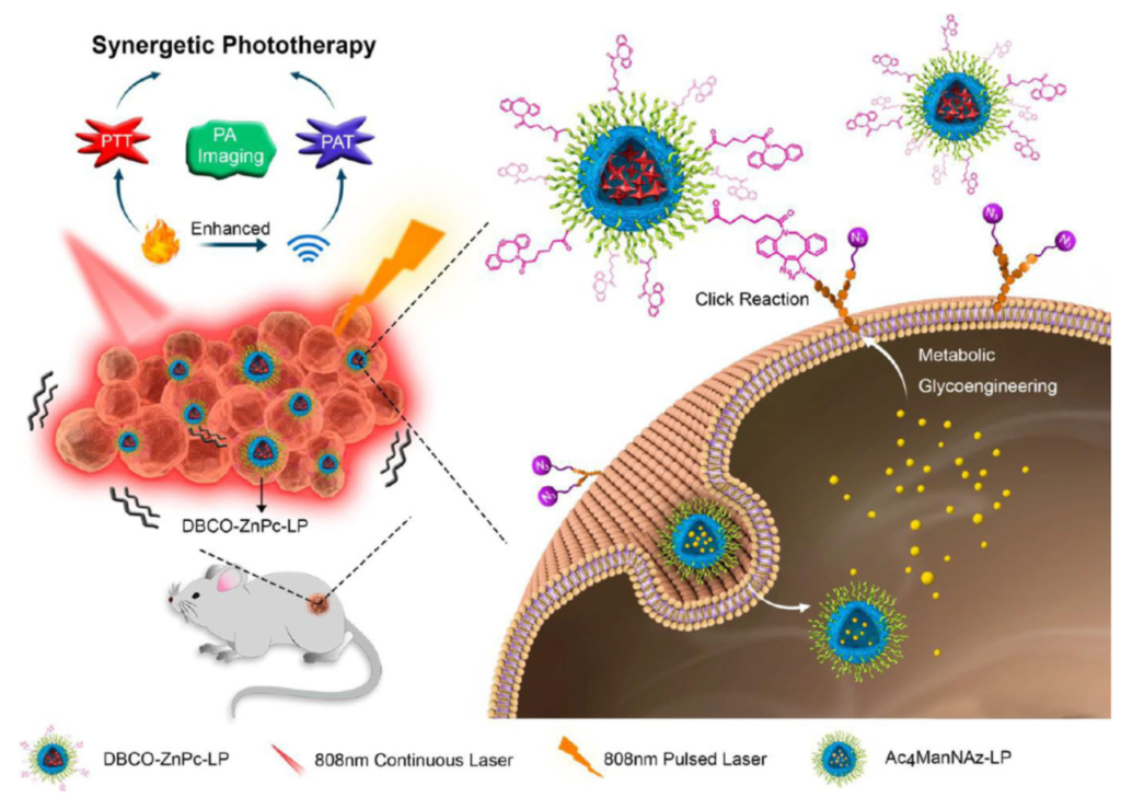 Copper free click chemistry used in two step tumor targeting